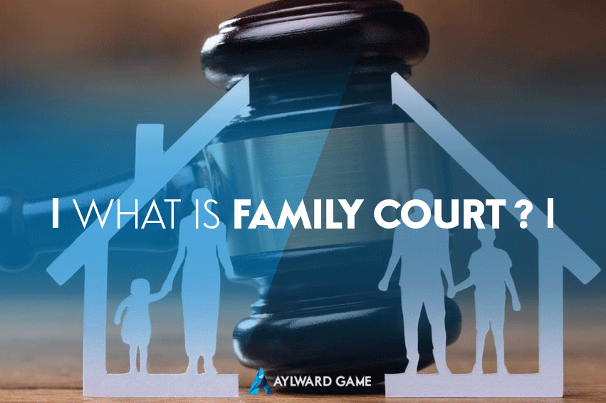 What Is Family Court ?